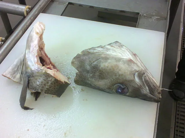 фотография продукта Рыба в Петрозаводске опт/розница