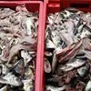 переработка рыбных отходов, рыбы в Владимире